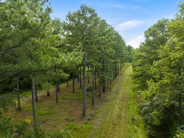 Property Photo:  1569 Dave Plowden Pond Rd  SC 29102 