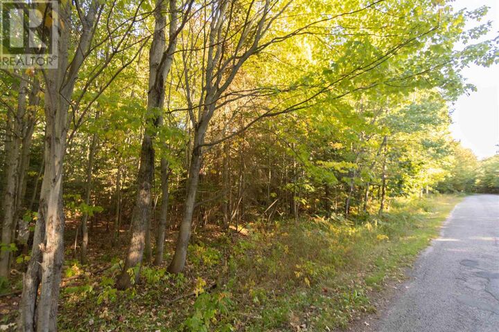 Property Photo:  Lot 17 Nokomis Beach Rd  ON P6A 5K6 