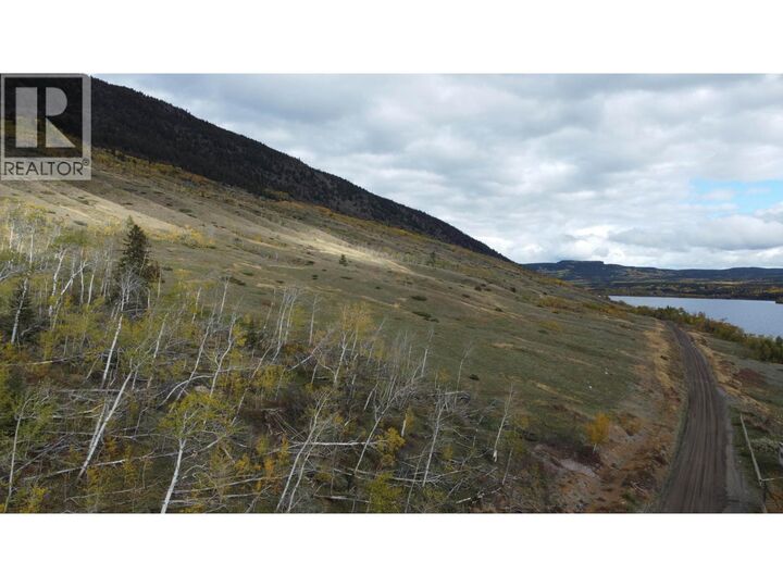 Property Photo:  599 Nemaiah Valley Road Dl  BC V0L 1X0 