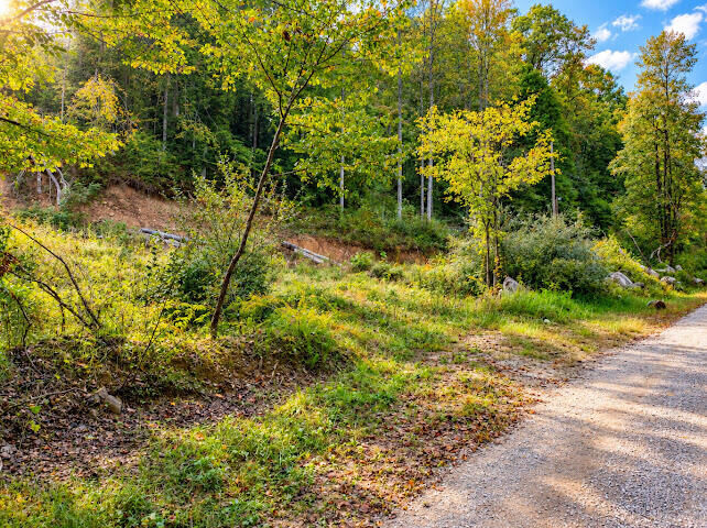 Property Photo: 0000 Big Wildcat Road KY 40962