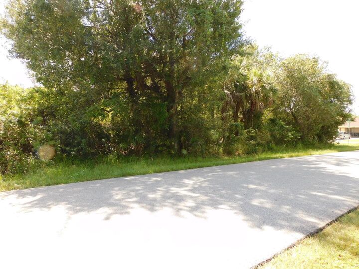 Property Photo:  1158 Shetland Street  FL 33980 