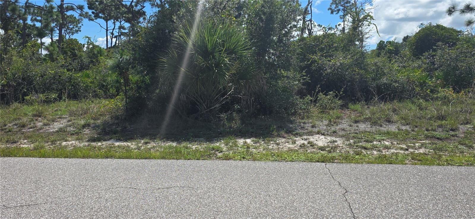 Property Photo:  12387 Hathaway Terrace  FL 33981 