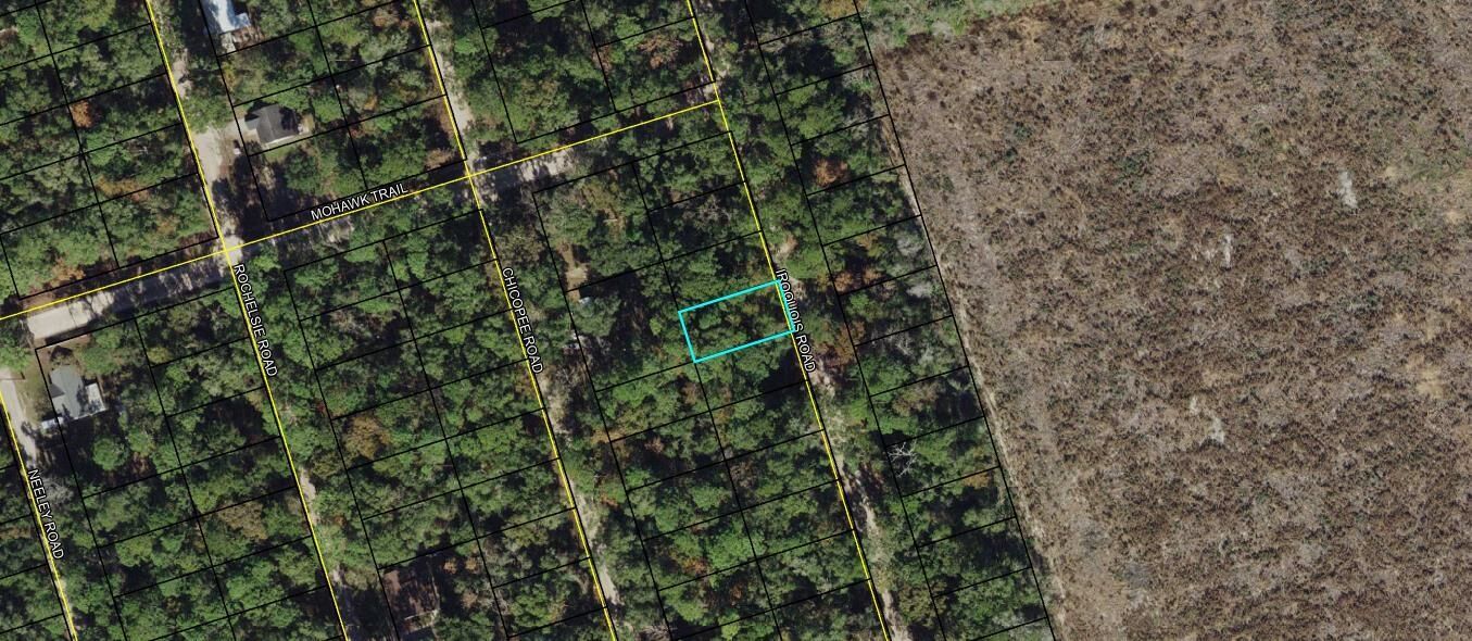 Property Photo:  Lot 38 Iroquois Road  FL 32327 