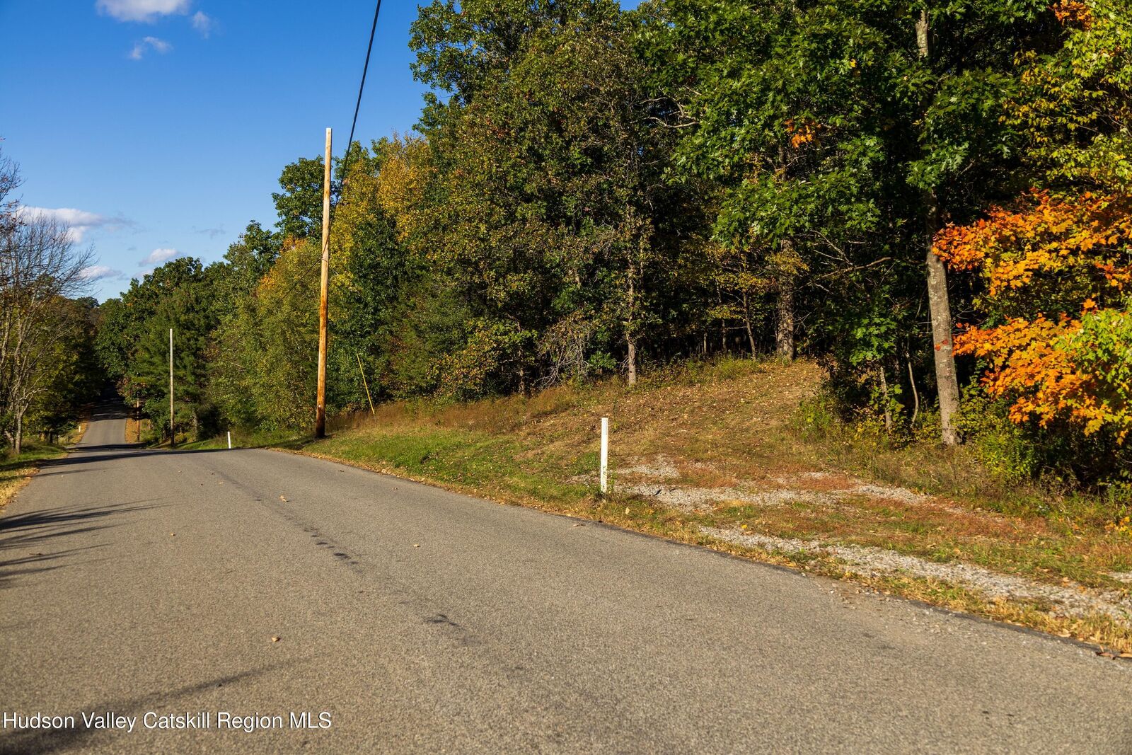 Property Photo: 0 Lot 4 Taghkanic Churchtown NY 12521