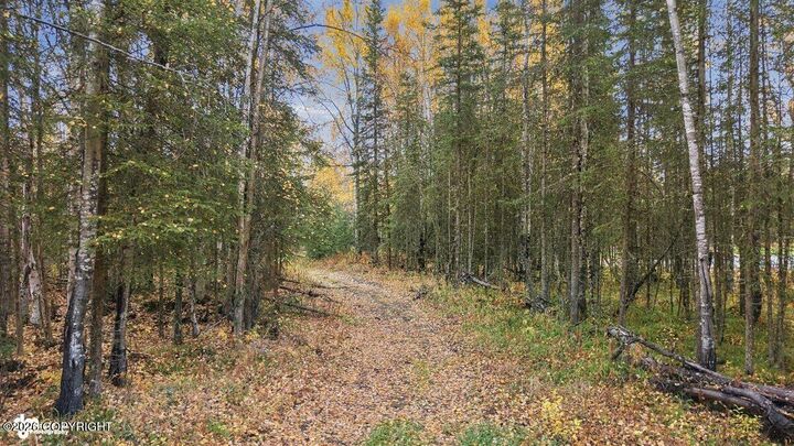 Property Photo:  39414 Flatstone Court  AK 99669 