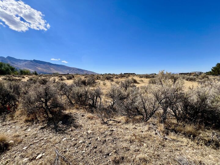 Property Photo:  805 Aesop Drive  NV 89815 