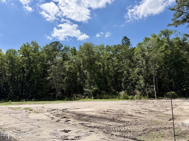 Property Photo:  0 Fulford Avenue  GA 31548 