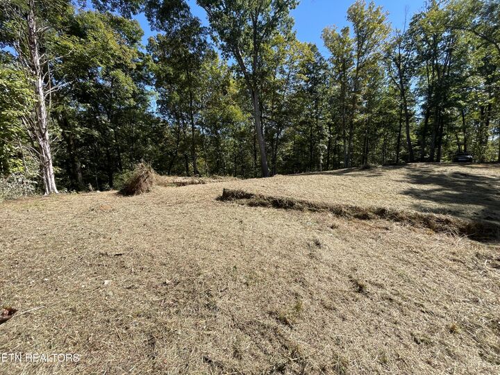 Property Photo:  