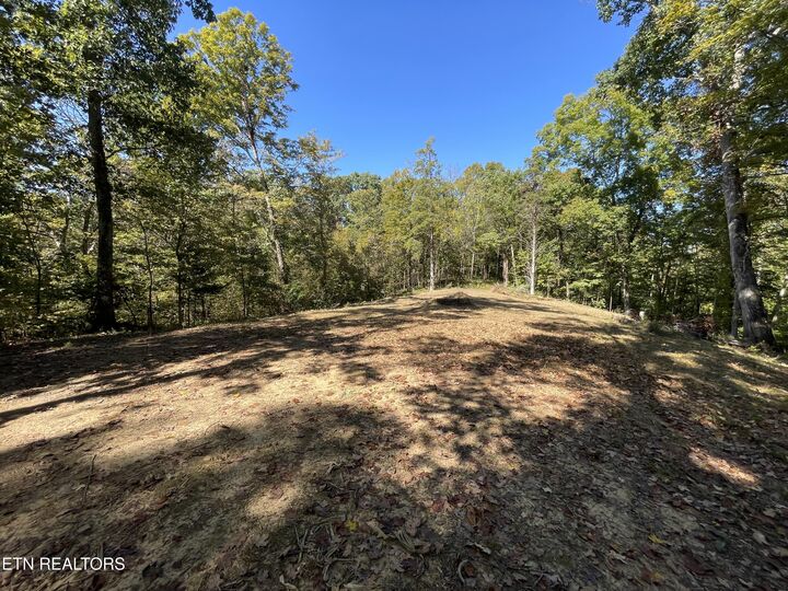 Property Photo:  