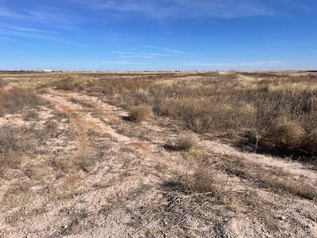 Property Photo:  10 Lovebird Road  TX 79367 