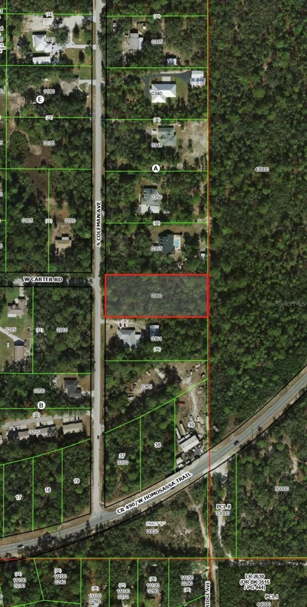 Property Photo:  2823 S Coleman Avenue  FL 34448 