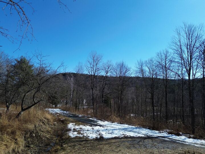 Property Photo: 00 Bent Birch Lane VT 05674