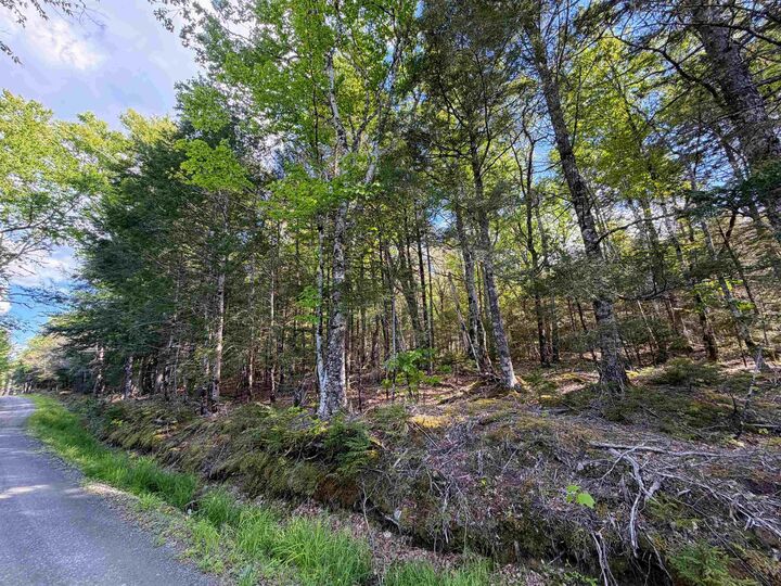 Property Photo:  Lot Old Coach Road  NS B0T 1E0 