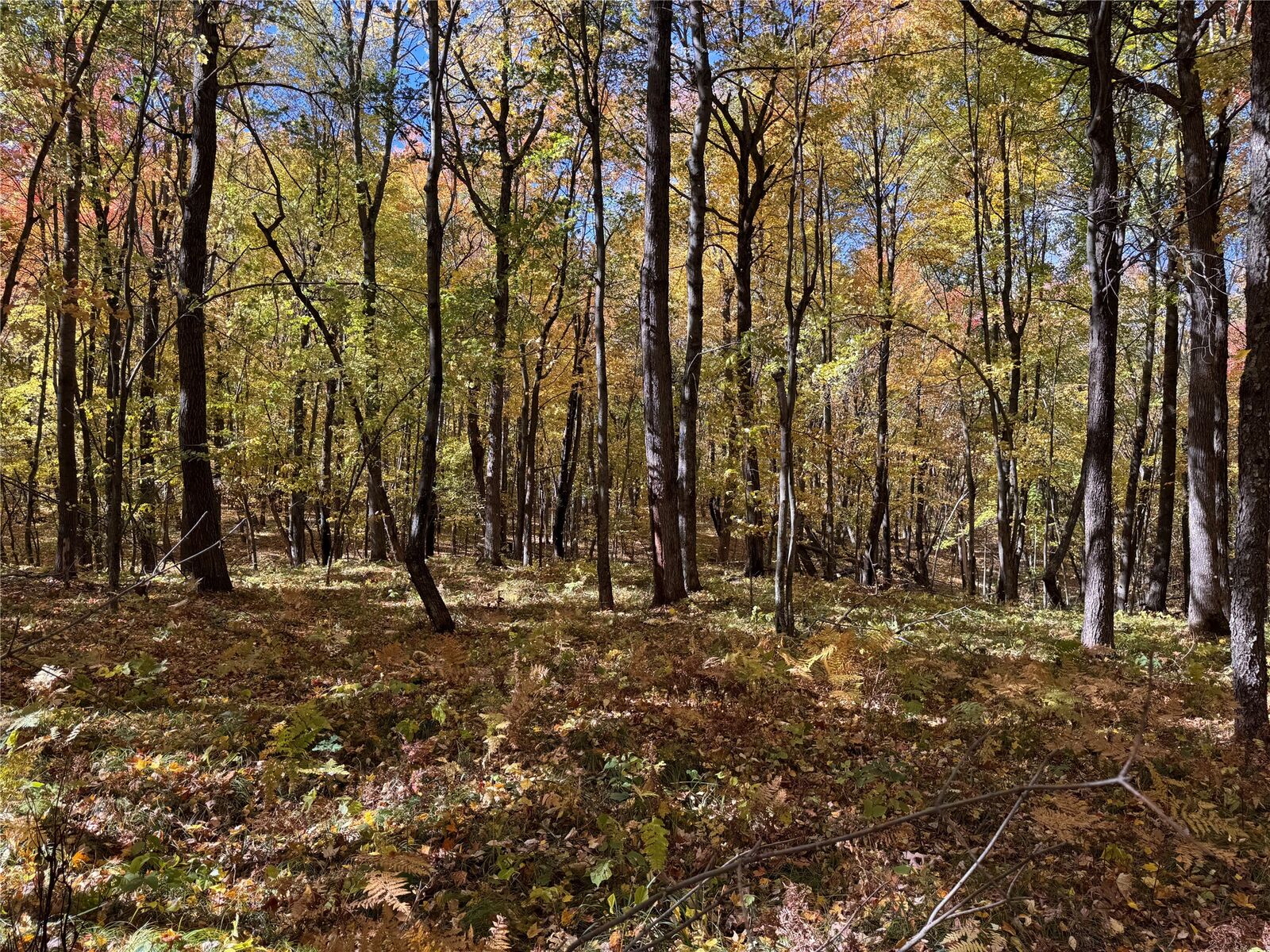 Property Photo: Xxx Fosberg Road WI 54872