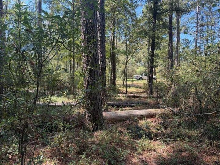 Property Photo: 11818 Willard's Camp Road LA 70654