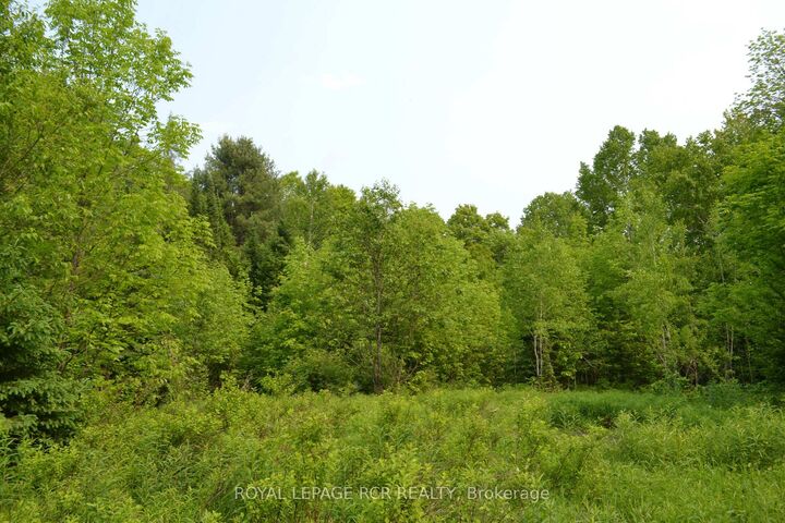 Property Photo:  1527 Madill Road  ON K0M 1R0 
