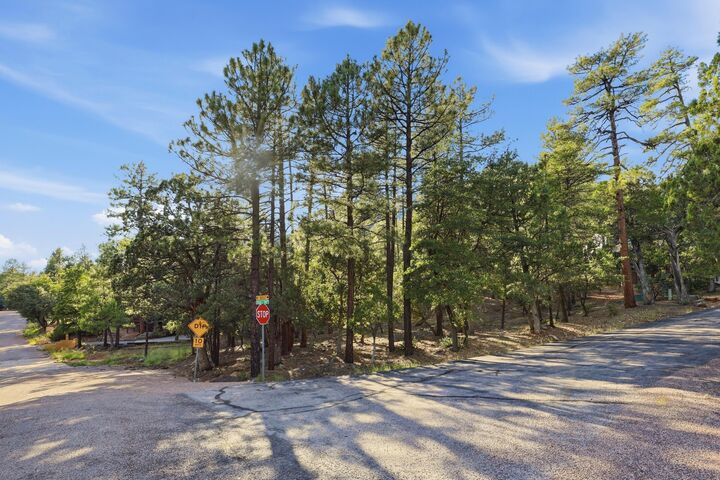 Property Photo: 98 Trails End Drive AZ 85544