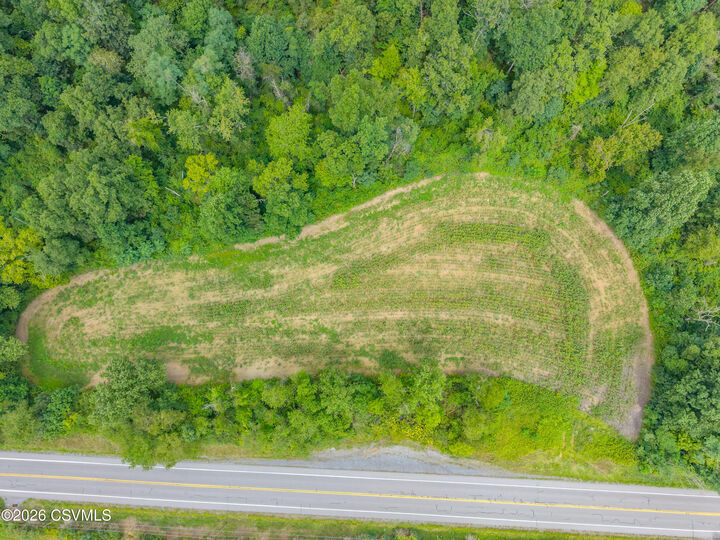 Property Photo:  Parcel 8 Carls Hill Road  PA 17830 