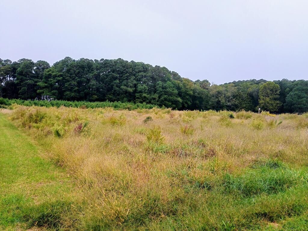 Property Photo:  Lot 41 Church Neck Rd  VA 23405 