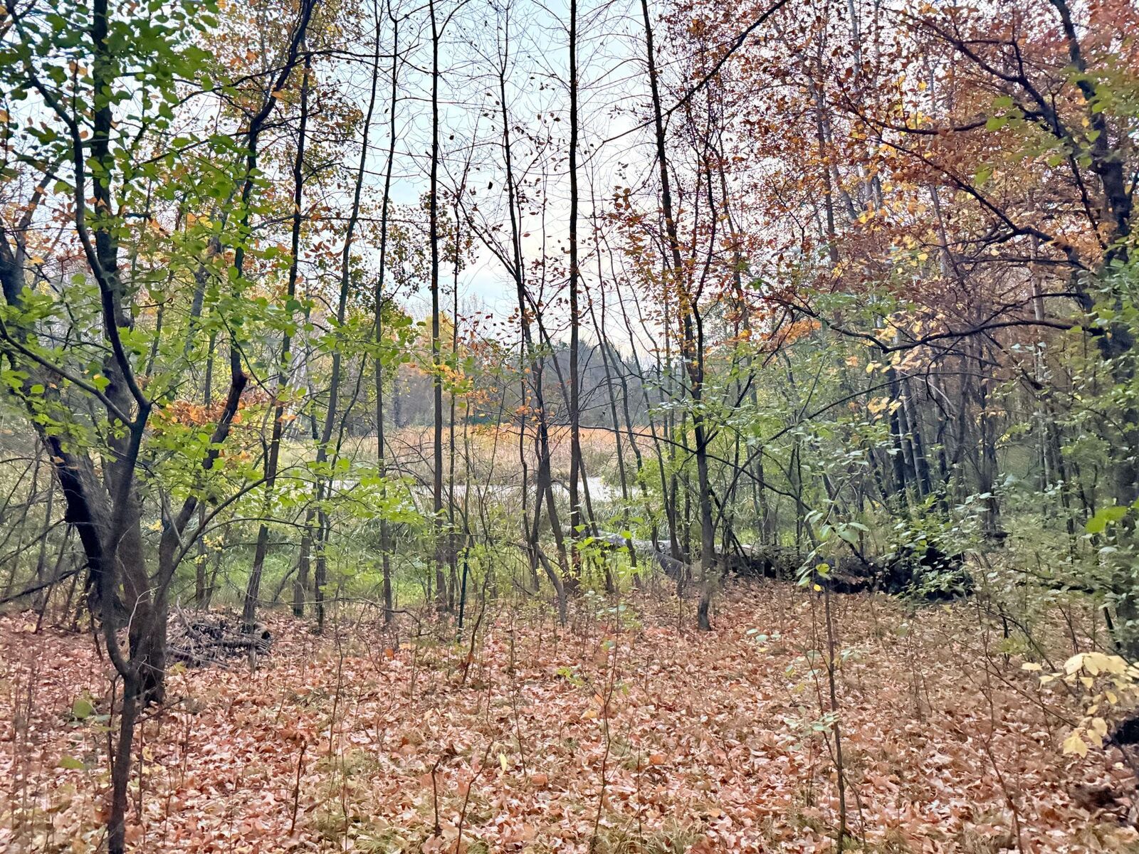 Property Photo:  11832 County Road 51  MN 56374 