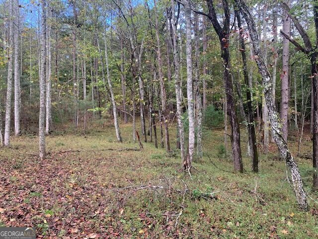 Property Photo:  Lot 132 Fox Cove Road  GA 30512 