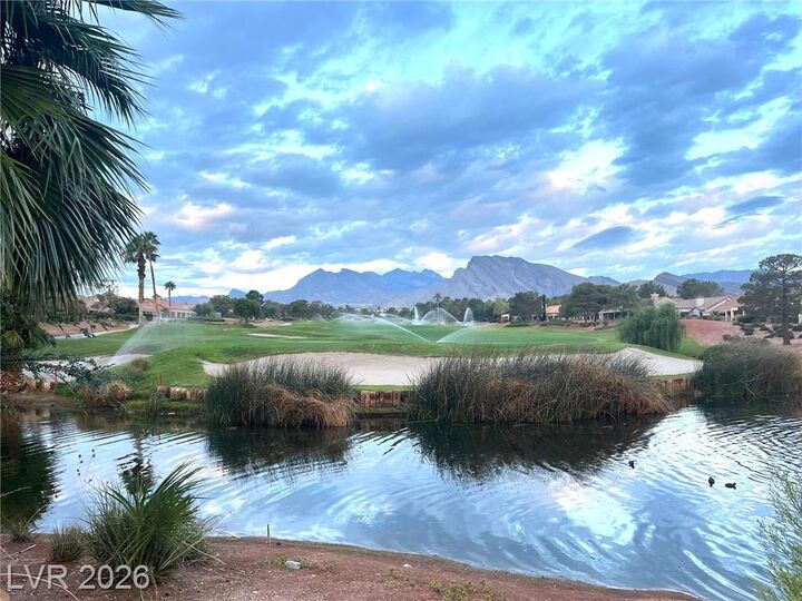 Property Photo:  10709 Dover Creek Avenue  NV 89134 