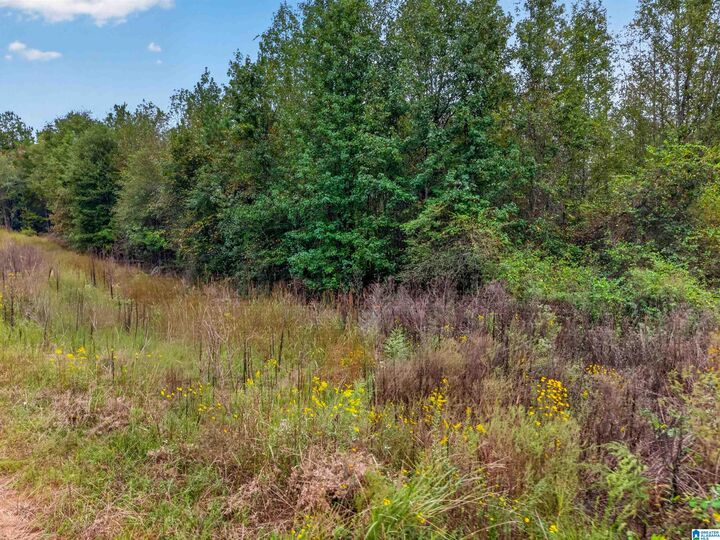 Property Photo:  11 Acres Landmark Road 0  AL 35160 