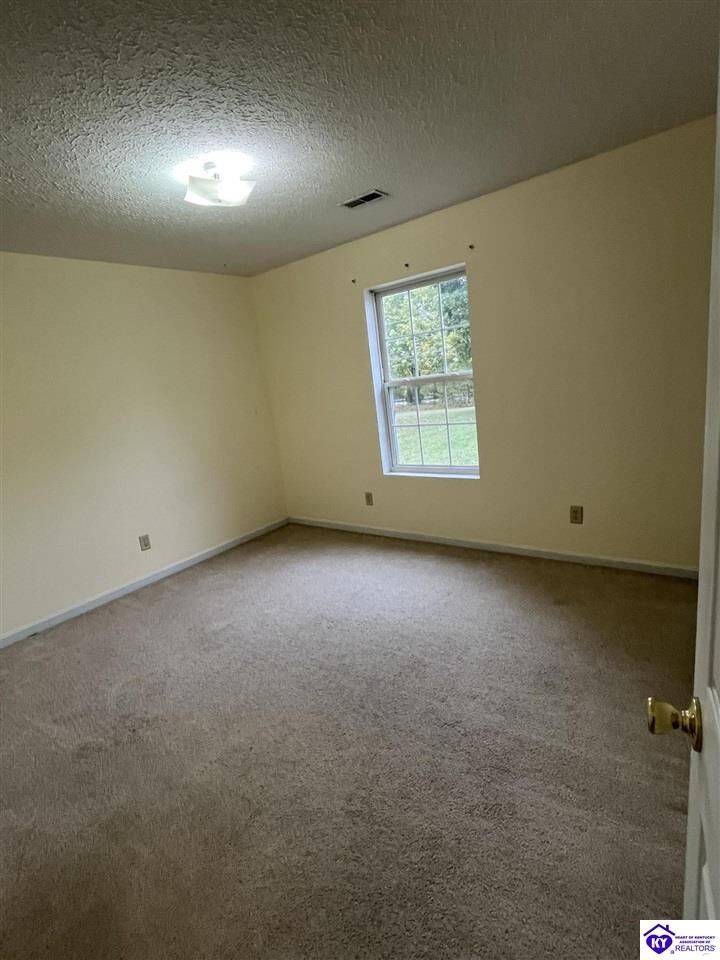 Property Photo:  2146 Cecilia Smiths Mill Road  KY 42724 