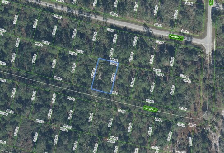Property Photo: 8604 Robbia Street FL 33872
