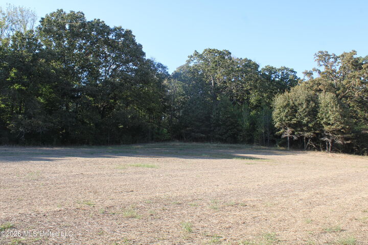 Property Photo:  0 Old Hudsonville Road  MS 38635 
