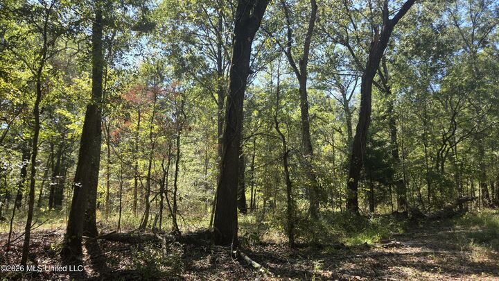 Property Photo: 0 Bill Strong Road MS 39066
