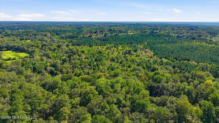 Property Photo:  Tom Berry Road  MS 39114 