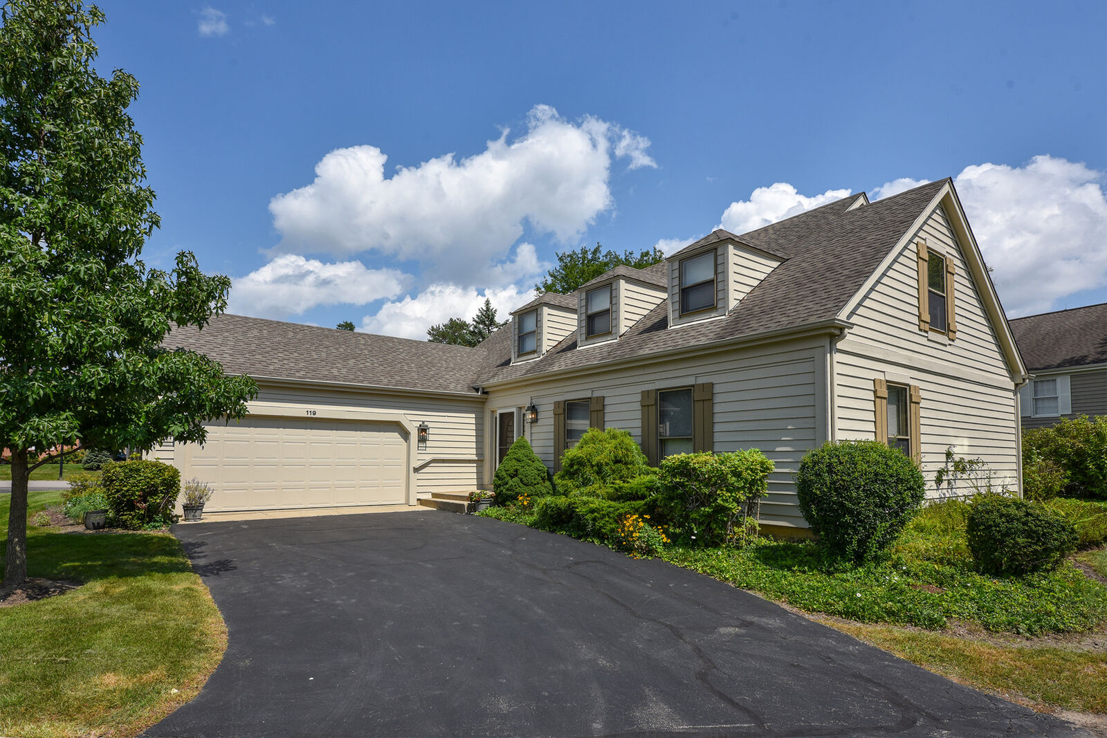 Property Photo:  119 Craigie Lane  IL 60067 