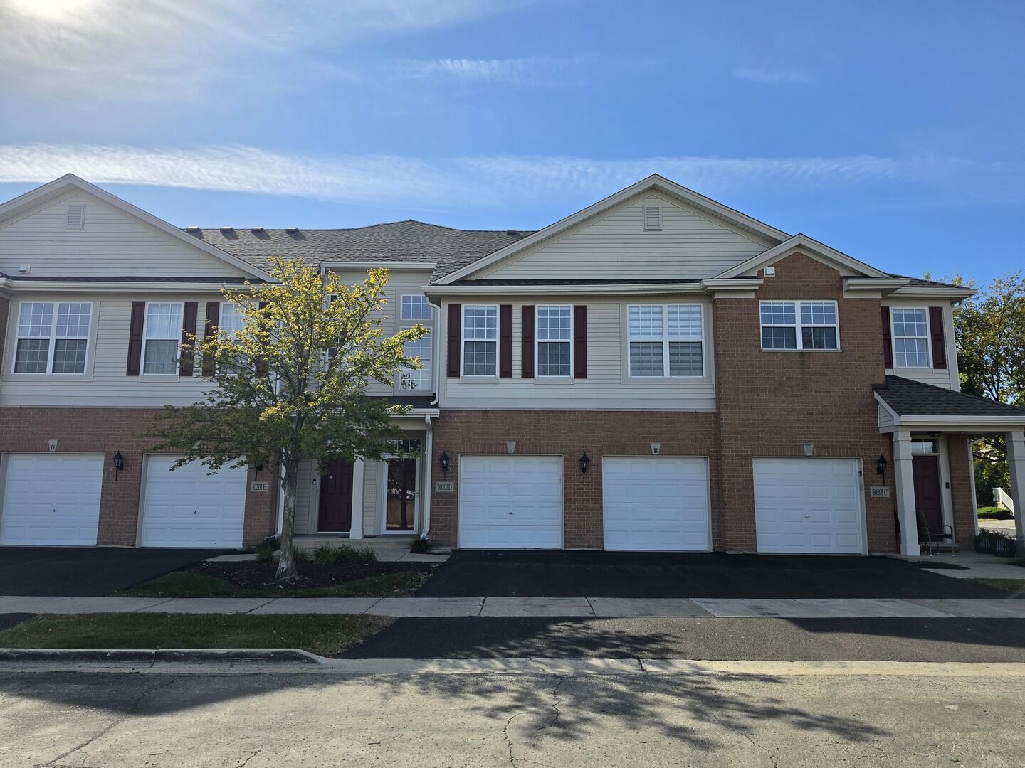Property Photo:  10201 Camden Lane  IL 60455 