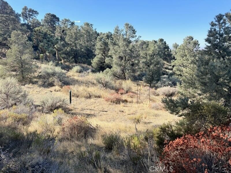 Property Photo:  0 Homeridge Drive  CA 92372 
