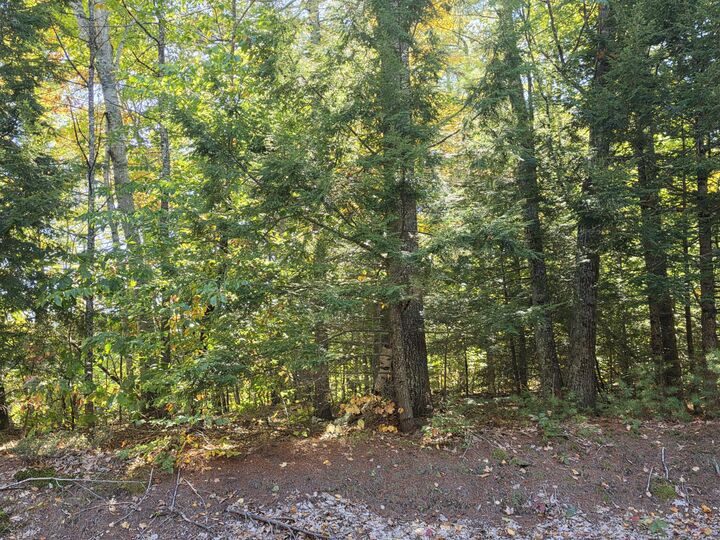 Property Photo:  36 Standish Neck Road  ME 04038 