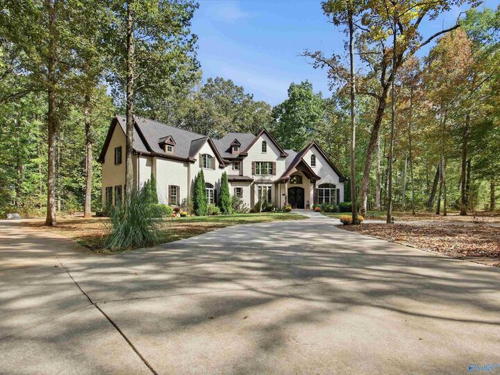 Property Photo: 199 Toney Acres Drive AL 35773
