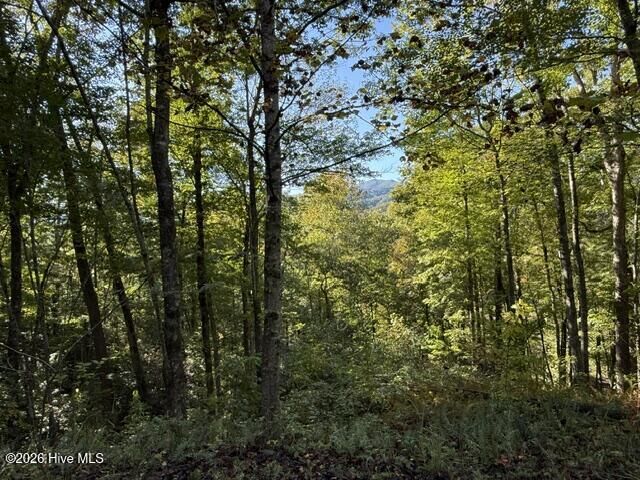 Property Photo: Lot 73 73 Turkey Walk Drive NC 28905