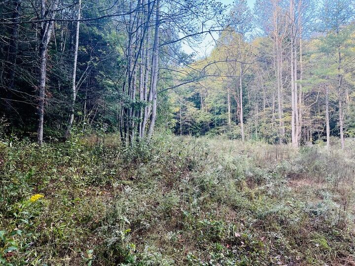 Property Photo: 1798 Flea Mountain Road NC 28906