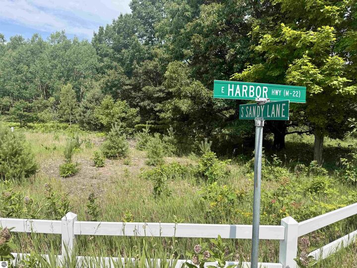Property Photo:  0000 E Sandy Lane  MI 49621 