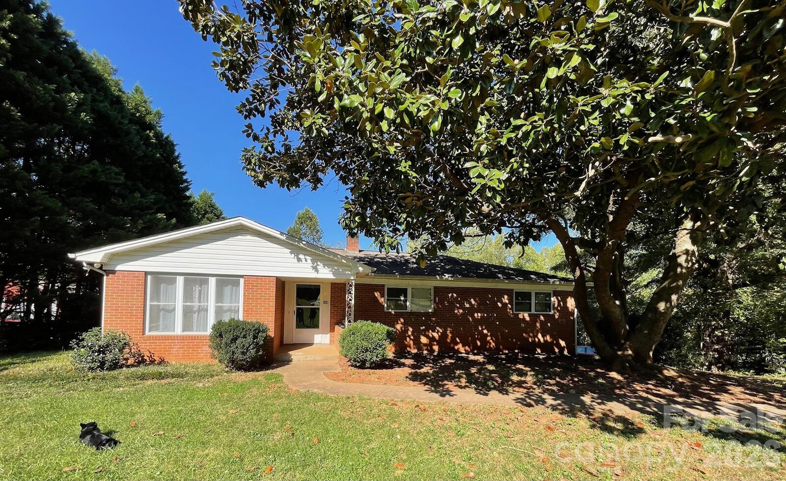 Property Photo: 110 Poteat Drive NC 28655