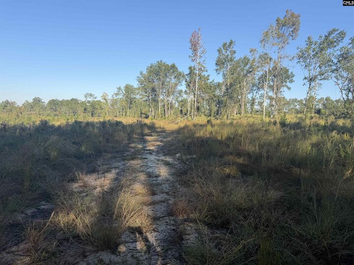 Property Photo: 0 Sc Hwy 773 SC 29126