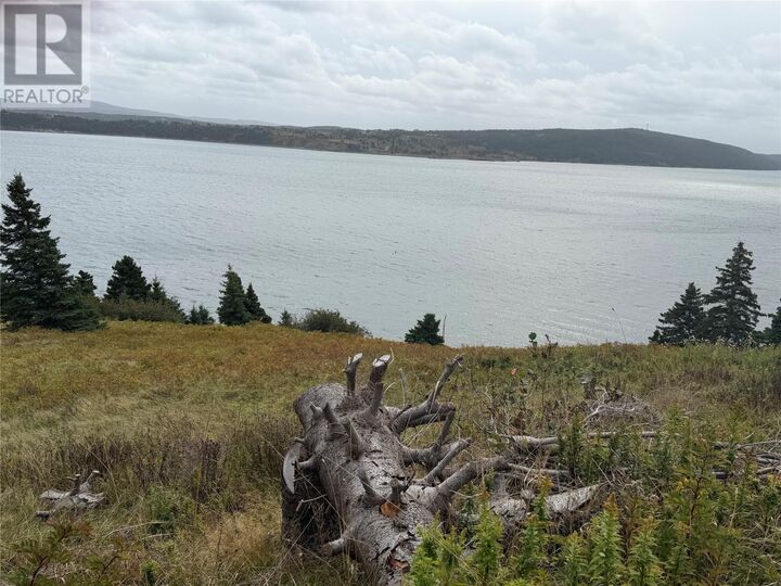 Property Photo:  263A Corporal Jamie Murphy Memorial Drive  NL A0A 2P0 