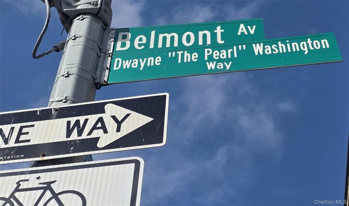 Property Photo: 97 Belmont Ave - Dwayne The Pear Washington Way NY 11212