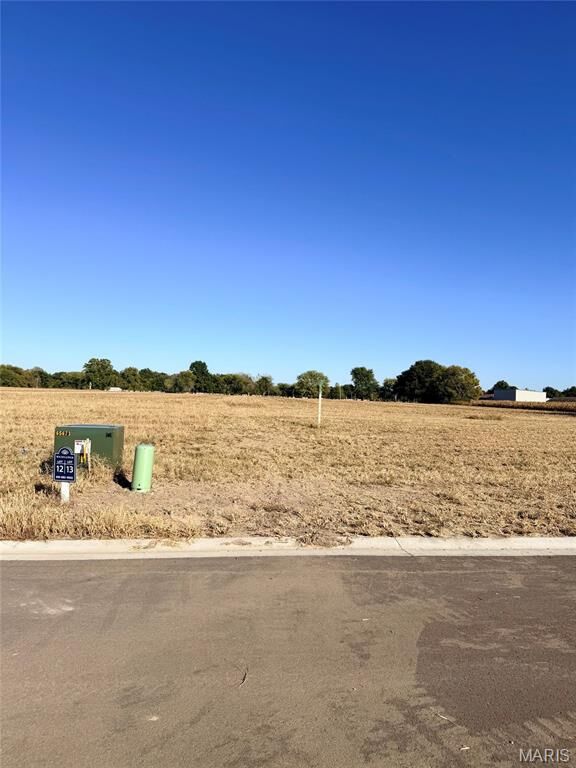 Property Photo:  1100 &Amp 1102 Lavender Lane  IL 62056 