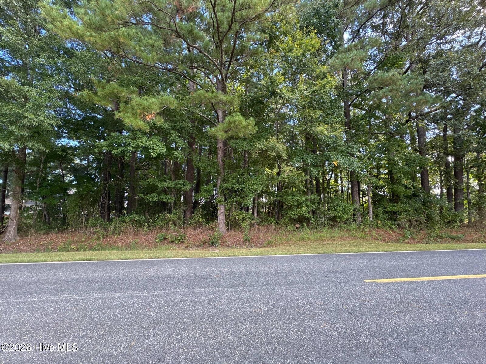 Property Photo:  Tbd Tinkham Road  NC 27935 