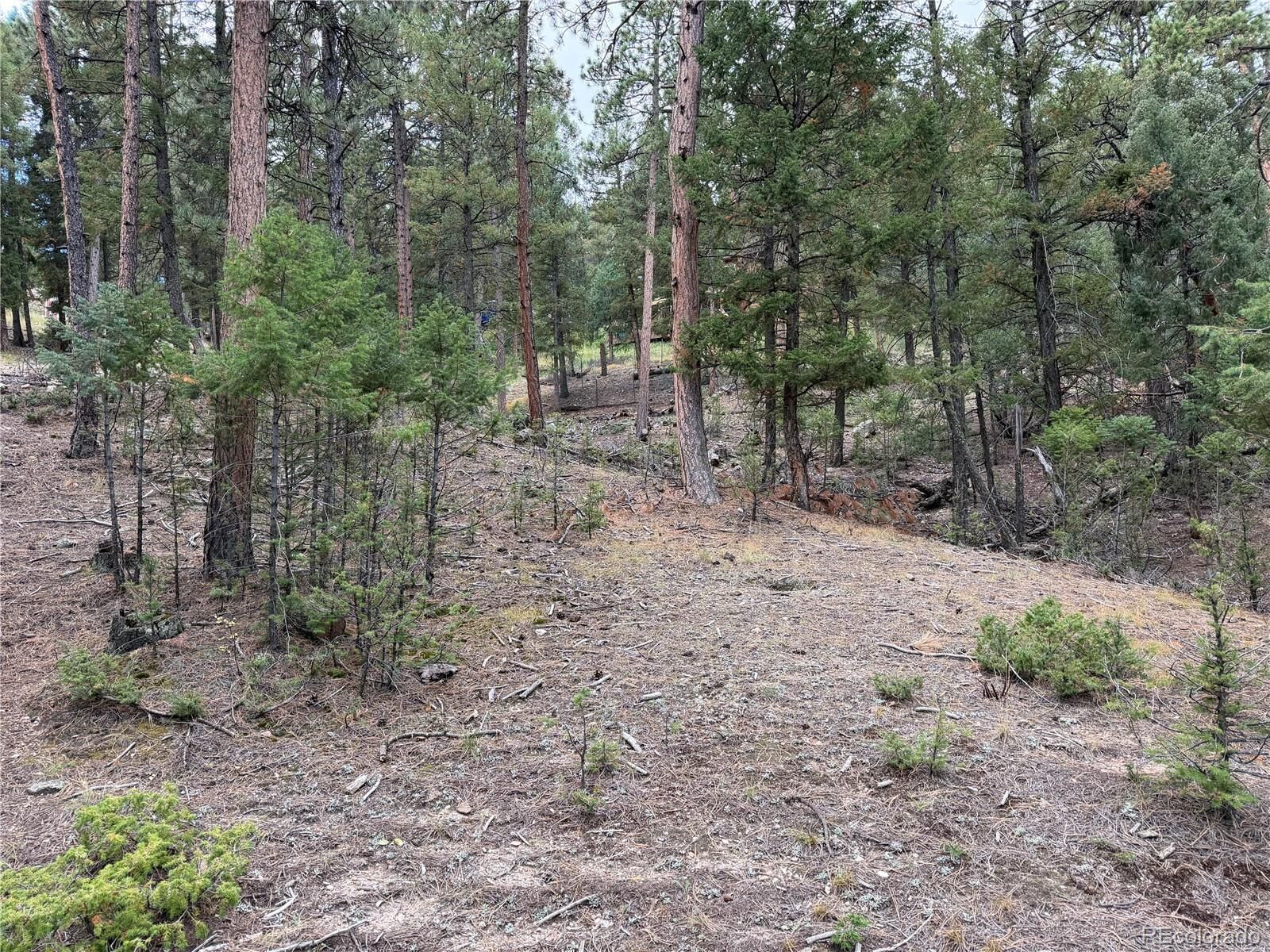 Property Photo:  0000 Tobbogan Road  CO 80407 