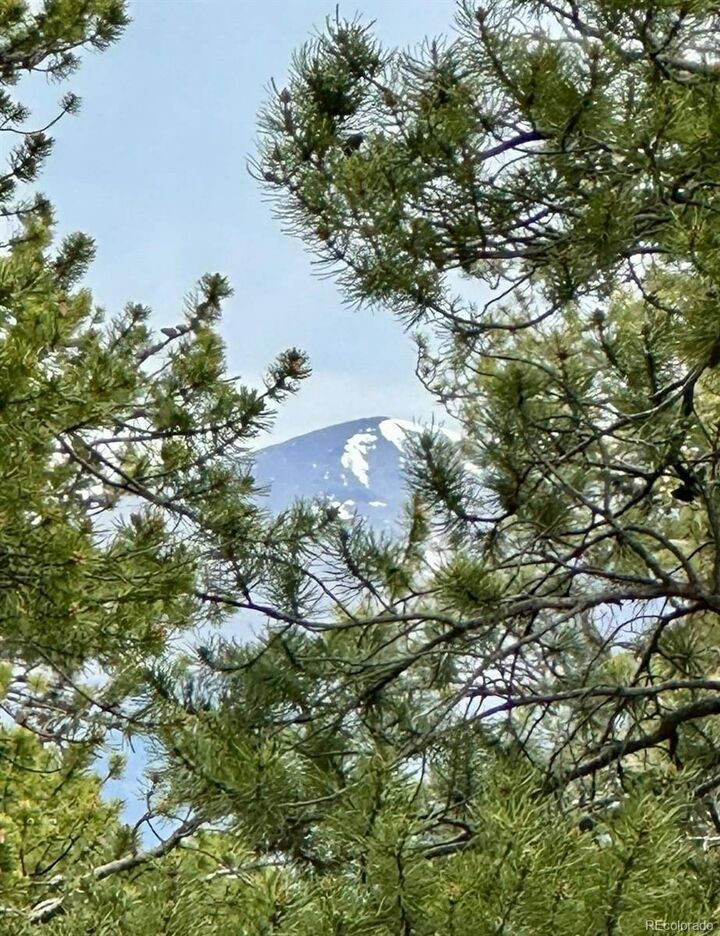 Property Photo:  30304 Aspen Turn  CO 81211 