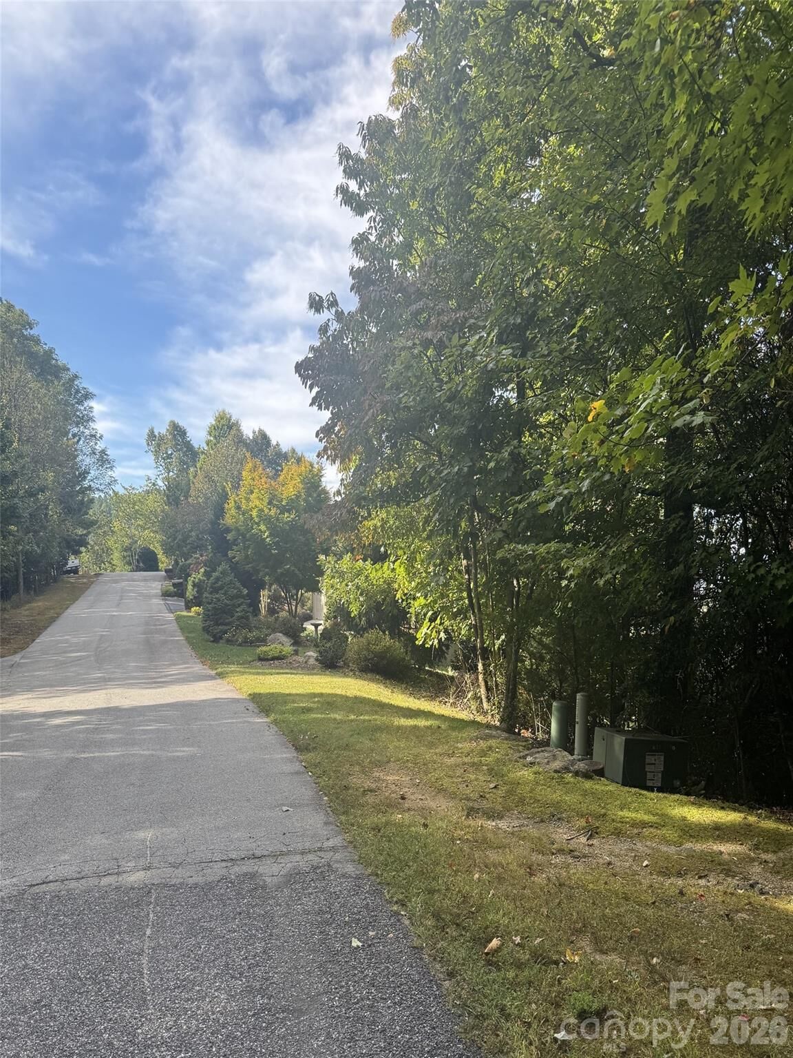 Property Photo: 200 Ladys Fern Trail NC 28739