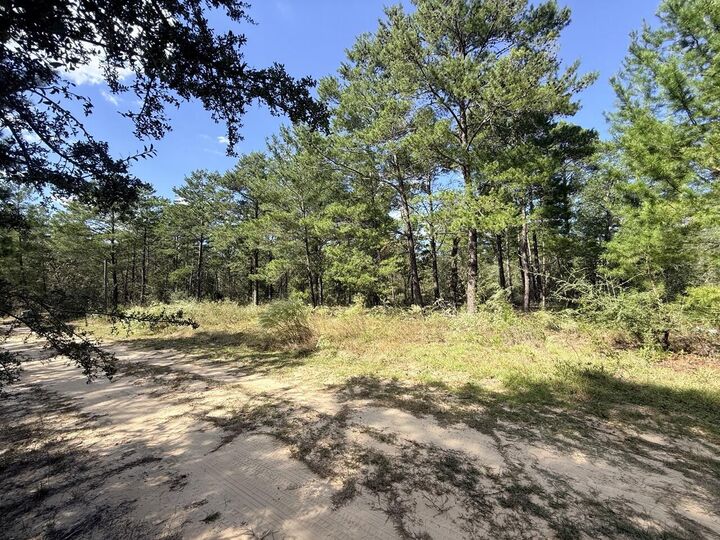 Property Photo: 870 Watson Road M FL 32433